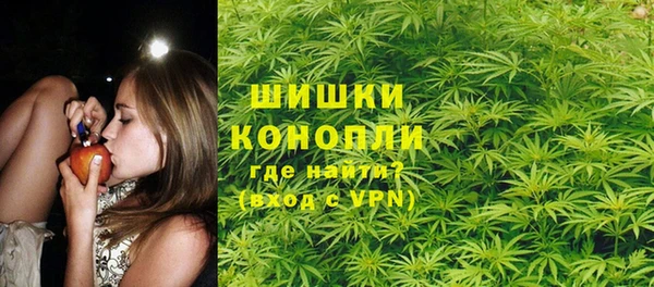 гашик Сатка